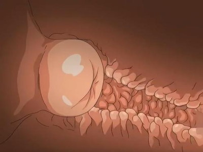 Thumbnail of post image 087